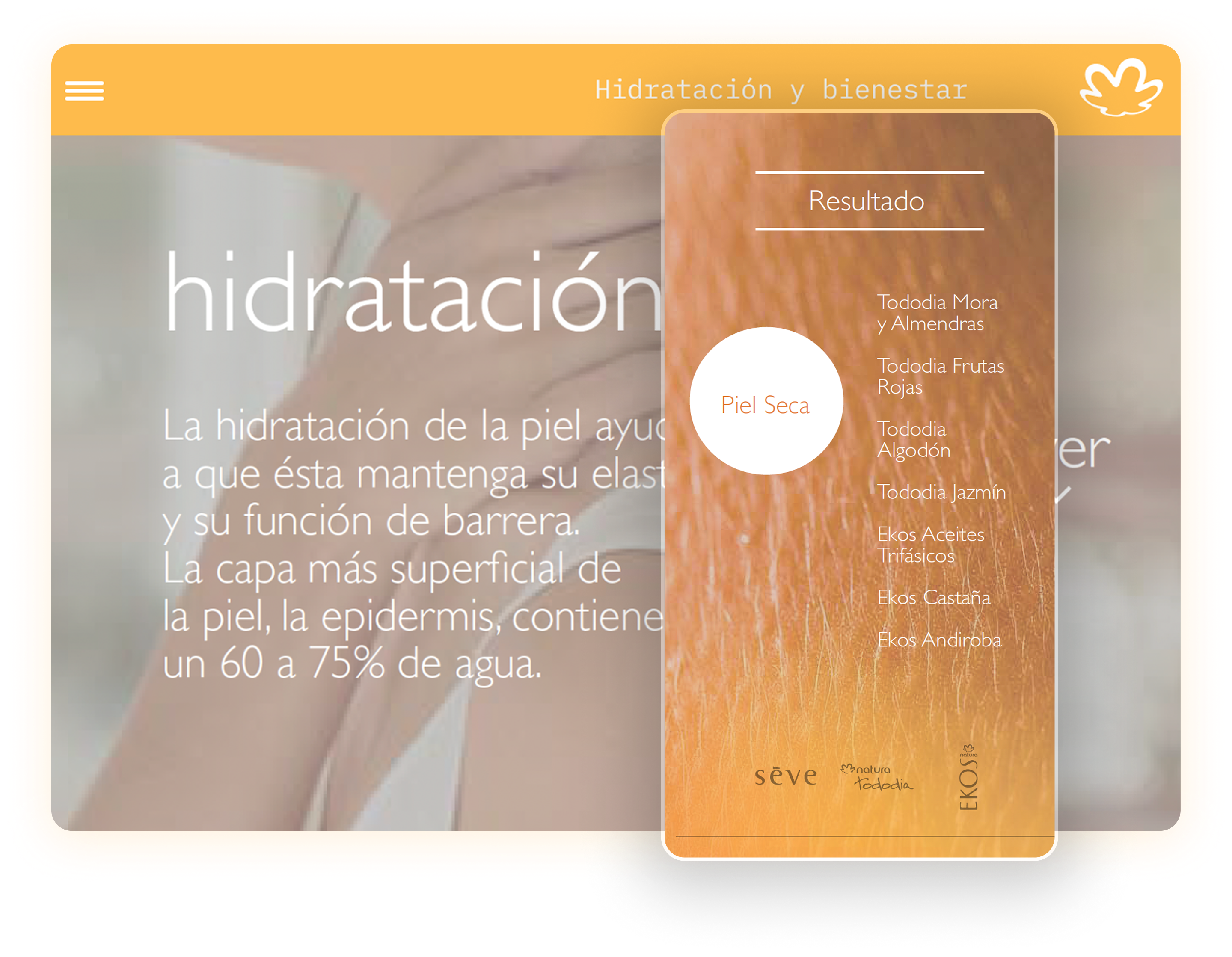 Mobile website example